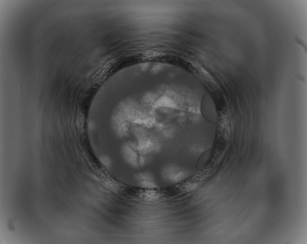 X0000091460565200709131736