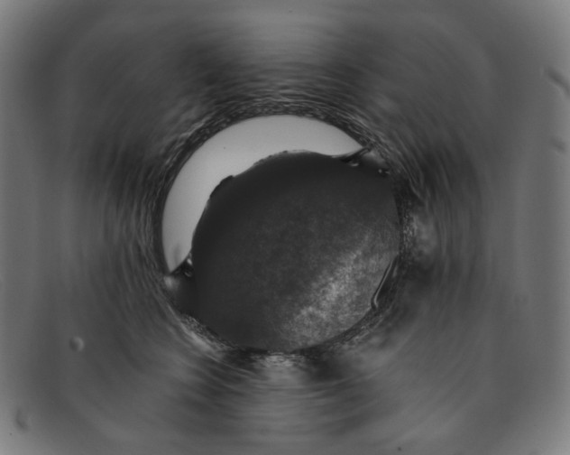 X0000091460566200709131736