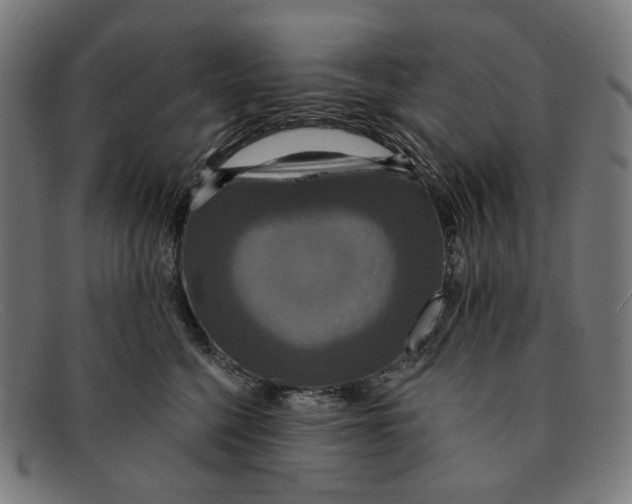 X0000091460568200709131736
