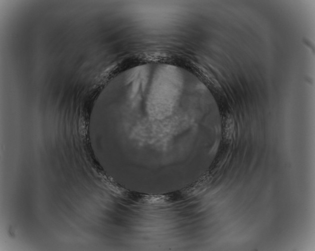 X0000091460569200709131736