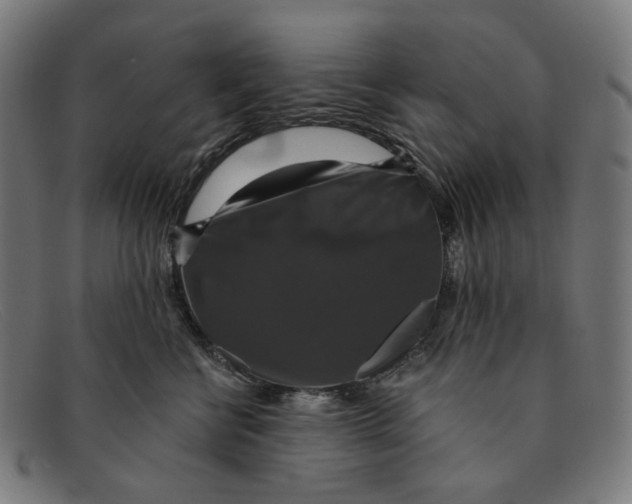 X0000091460570200709131736