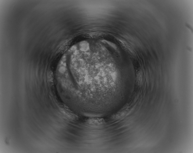 X0000091460571200709131736