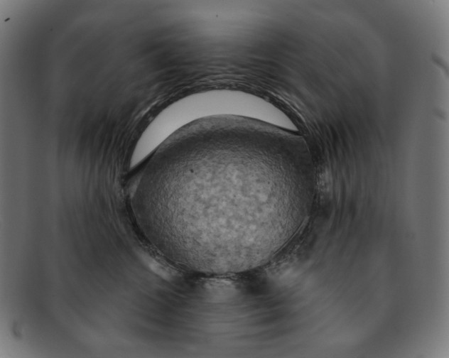 X0000091460572200709131736