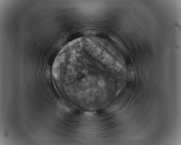 X0000091460573200709131736