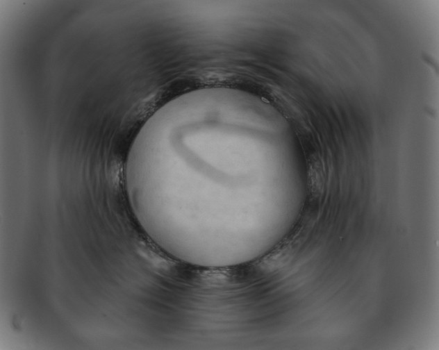 X0000091460574200709131736
