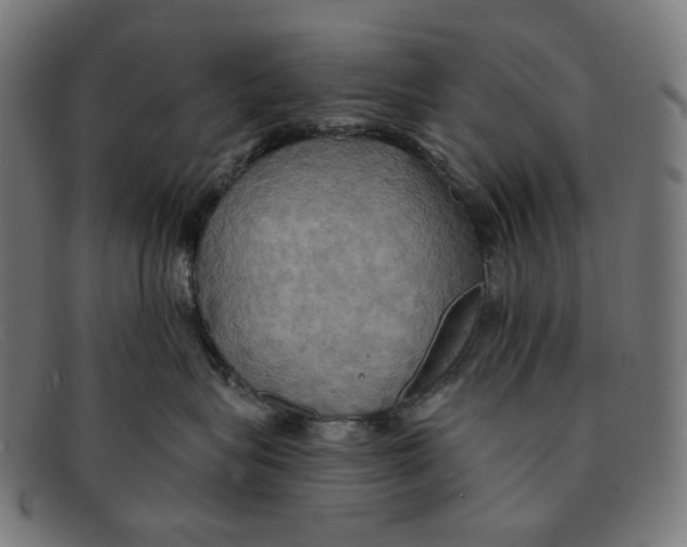 X0000091460575200709131736