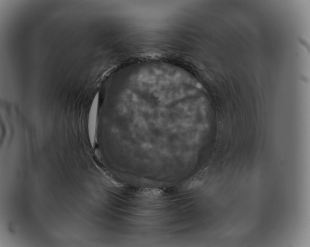 X0000091460576200709131736