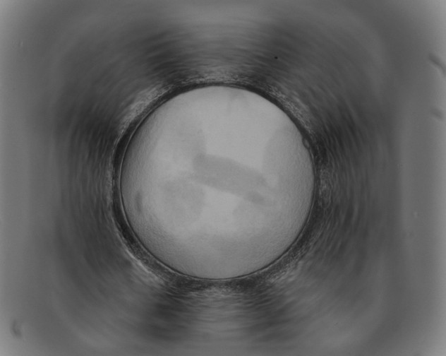 X0000091460578200709131735