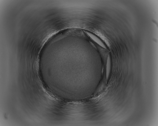 X0000091460580200709131735