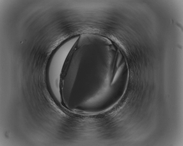 X0000091460581200709131735