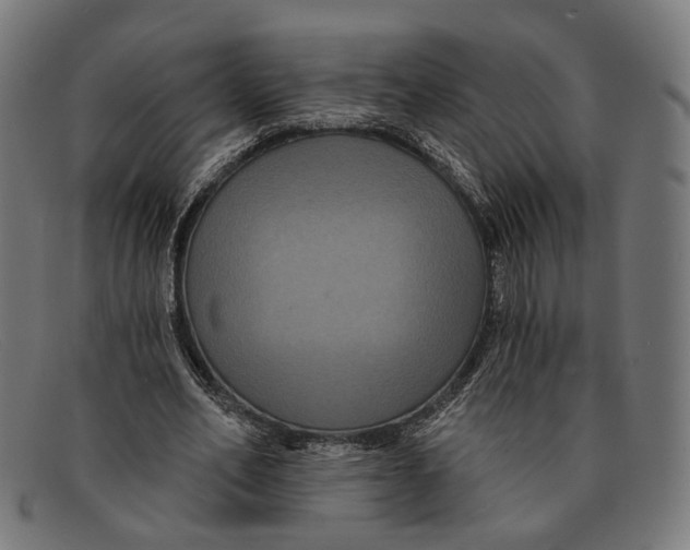 X0000091460582200709131735