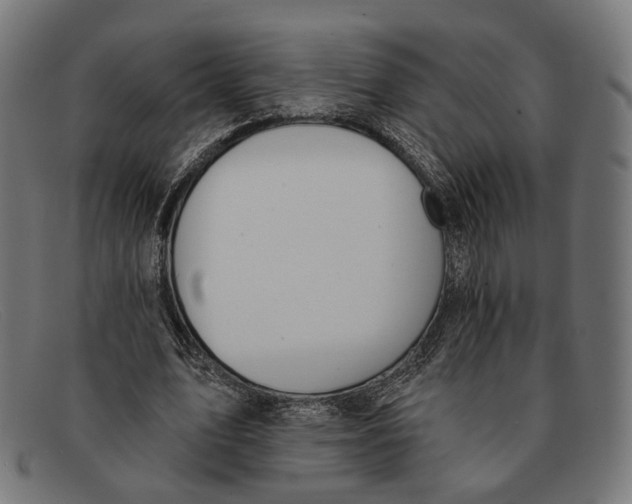 X0000091460583200709131735