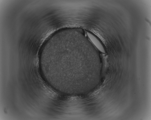 X0000091460584200709131735
