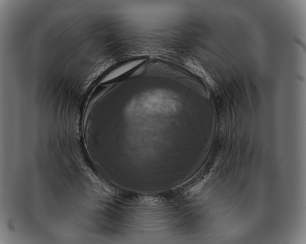 X0000091460585200709131735