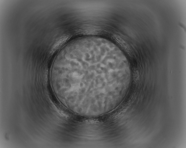 X0000091460586200709131735