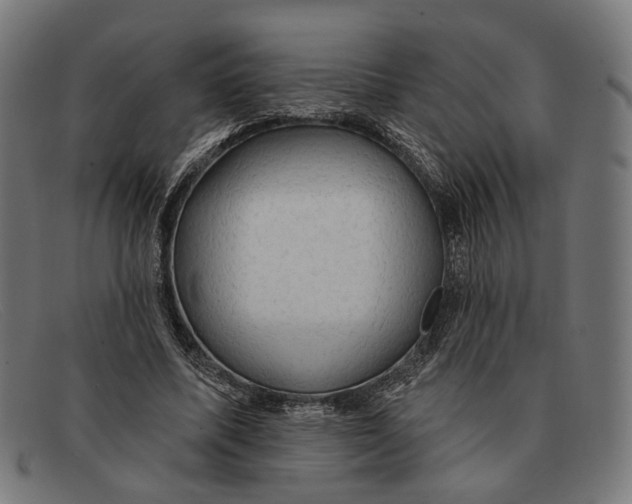 X0000091460587200709131735