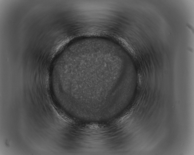 X0000091460588200709131735