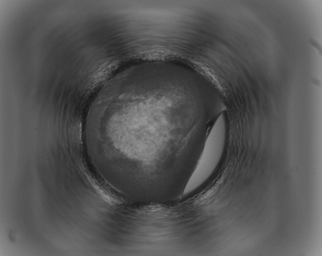 X0000091460589200709131735