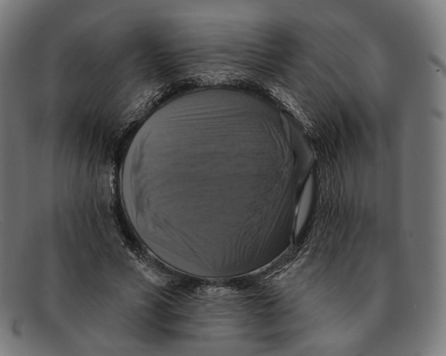 X0000091460590200709131735