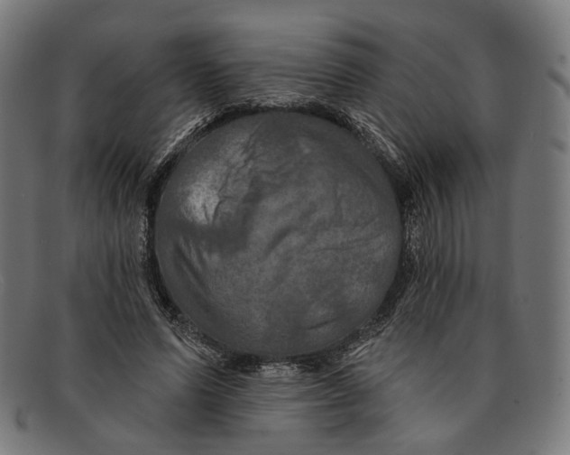 X0000091460591200709131735