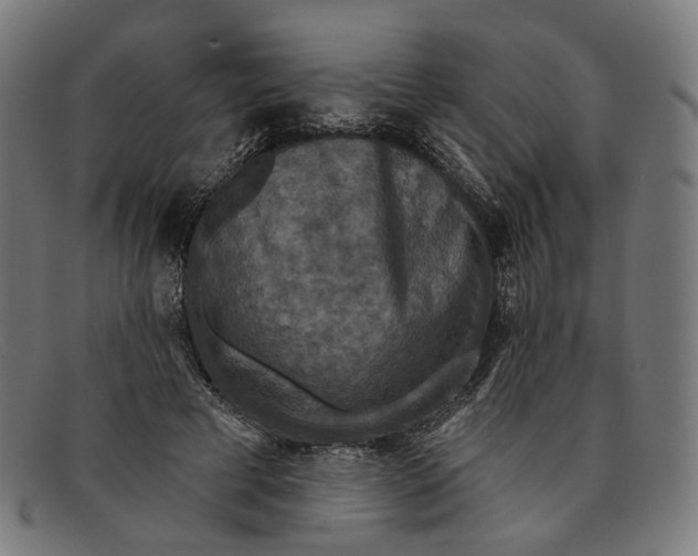 X0000091460593200709131735