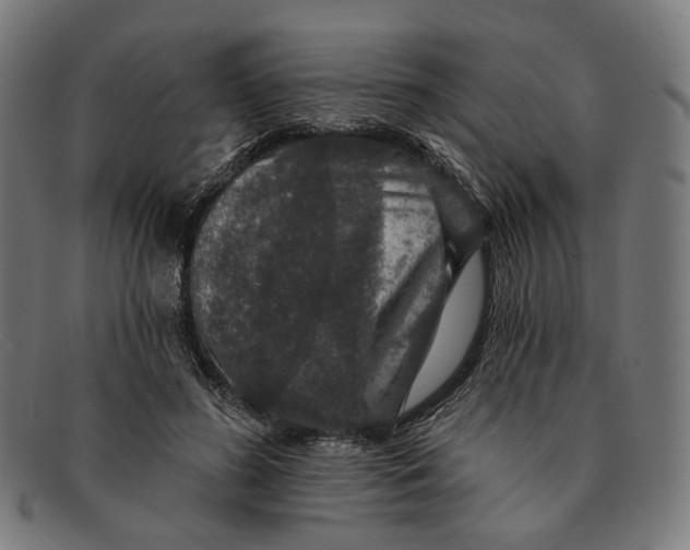X0000091460596200709131735