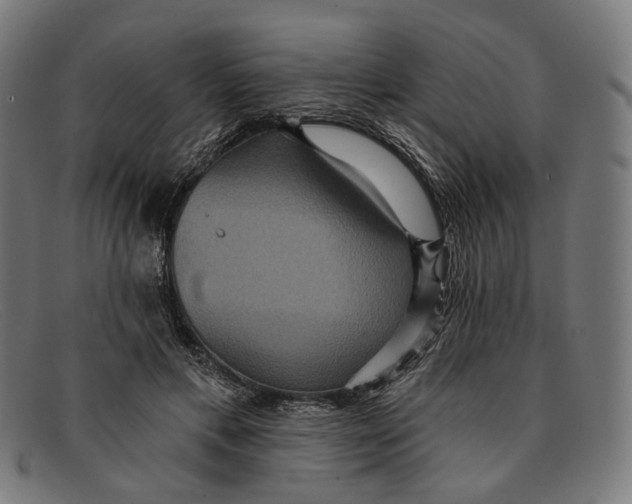 X0000091460597200709131735
