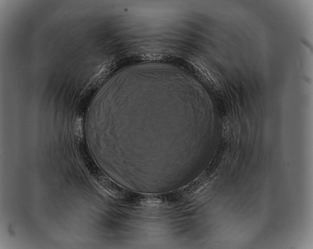 X0000091460598200709131735