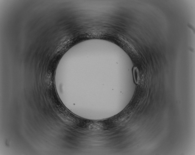 X0000091460599200709131735