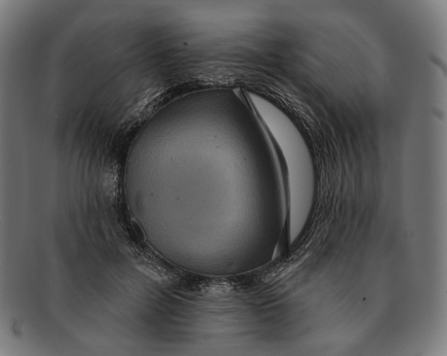 X0000091460600200709131735