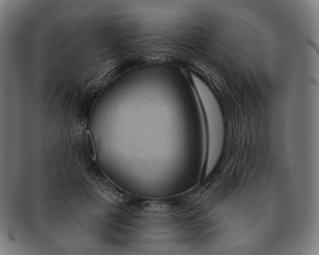 X0000091460601200709131735