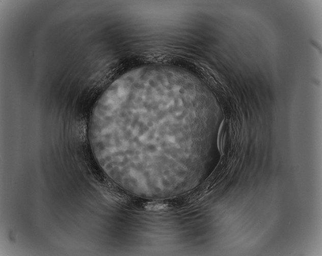 X0000091460602200709131735