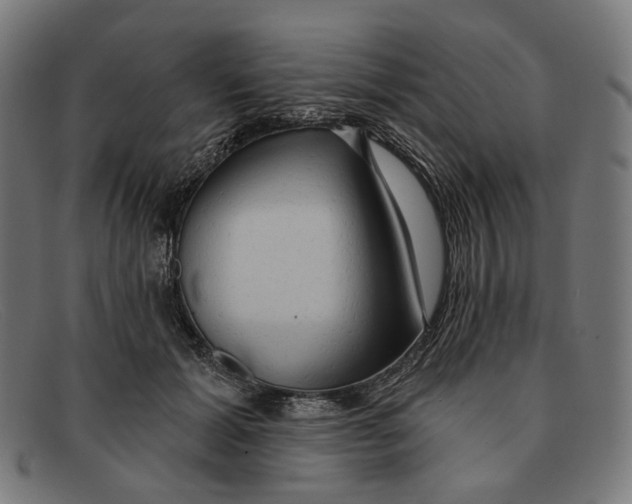 X0000091460605200709131735