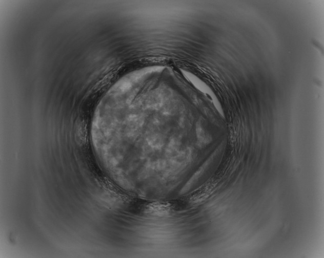X0000091460606200709131735