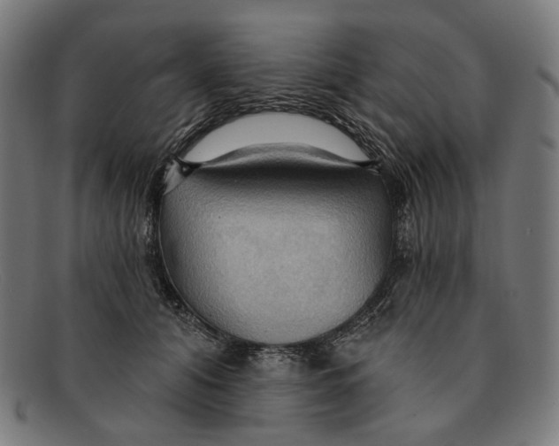 X0000091460608200709131735