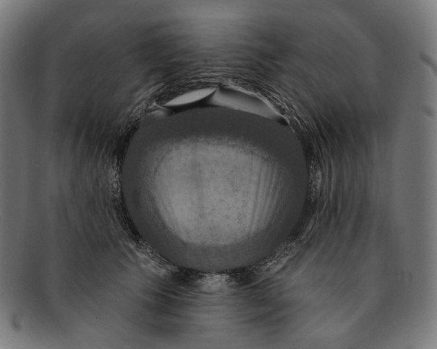 X0000091460609200709131735