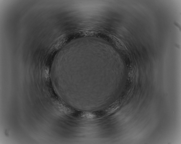 X0000091460610200709131735