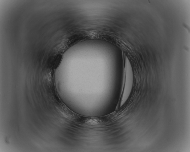 X0000091460611200709131735