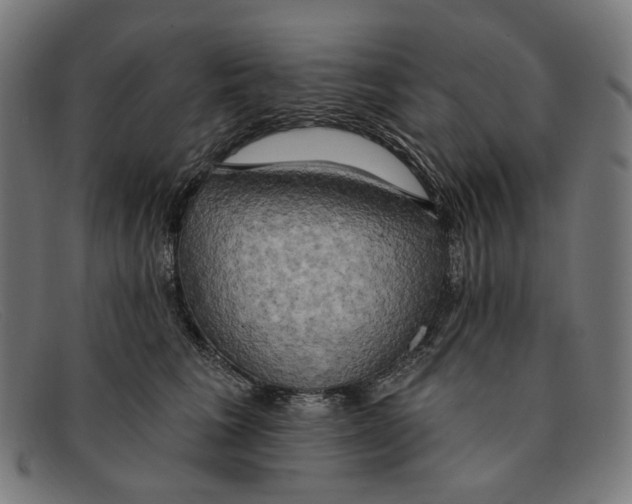 X0000091460613200709131735