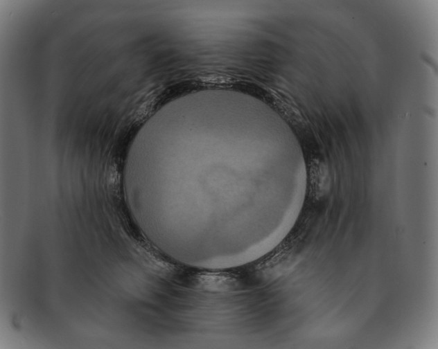 X0000091460614200709131735