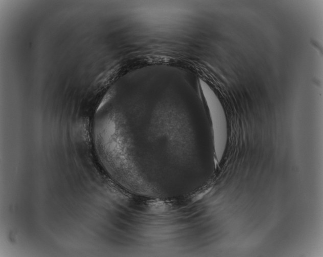 X0000091460616200709131735