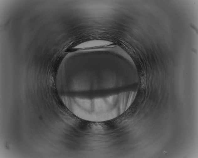 X0000091460618200709131735