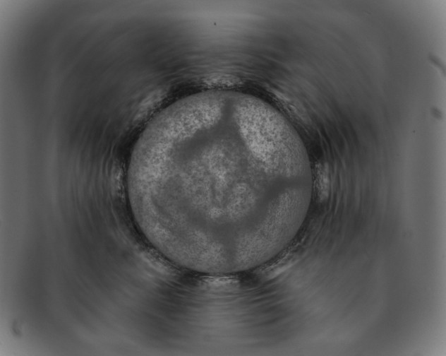 X0000091460619200709131735