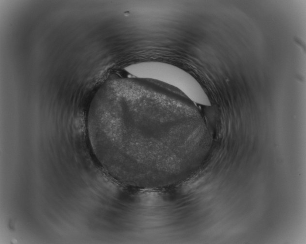X0000091460620200709131735