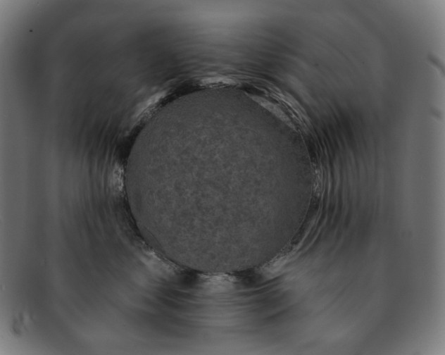 X0000091460621200709131735