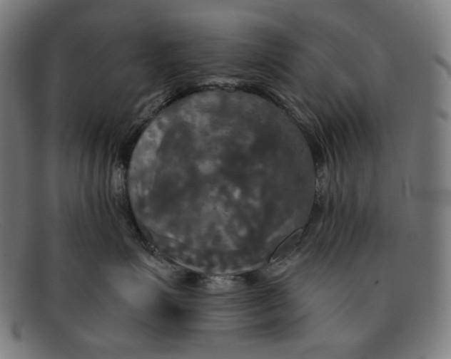 X0000091460623200709131735