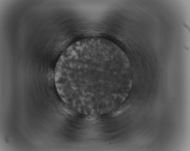 X0000091460624200709131735