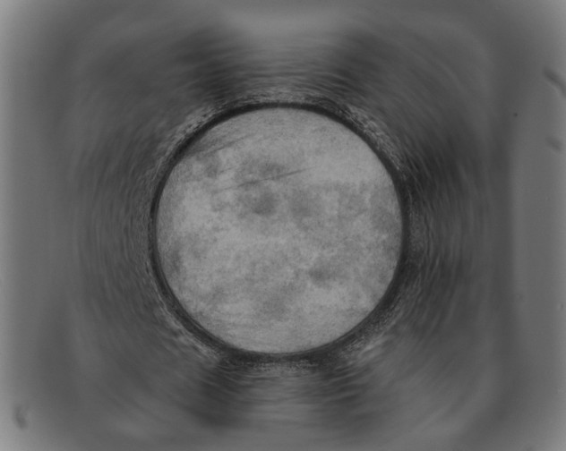 X0000091460625200709131734