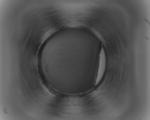X0000091460626200709131734