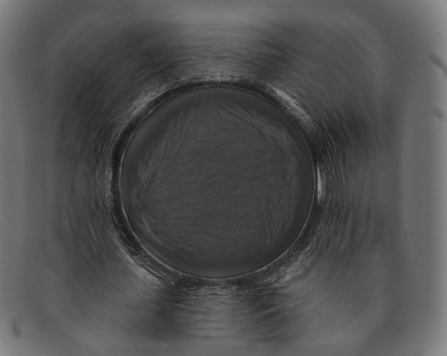 X0000091460627200709131734